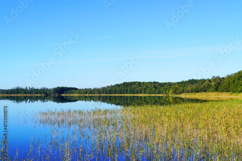 Priesterbäker See in the Müritz National Park. Mecklenburg Lake Plateau. Mecklenburg Lakeland. © Elly Miller