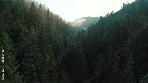 Flight over mountains covered with coniferous forest. Aerial panorama of beautiful mountain landscape