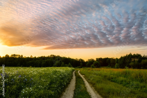 Dirt road among flowering fields at dawn. lush bloom of wildflowers and beautiful clouds at dawn.