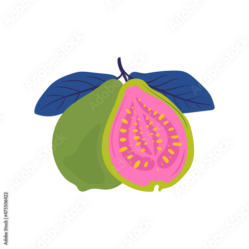 Guava. Tropical fruit and graphic design elements. Ingredients color cliparts. Sketch style smoothie or juice ingredients.