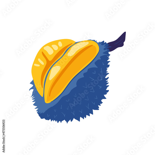 Durian. Tropical fruit and graphic design elements. Ingredients color cliparts. Sketch style smoothie or juice ingredients.