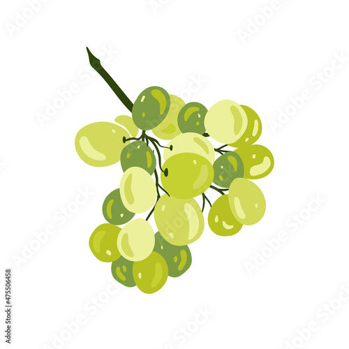 Grapes. Tropical fruit and graphic design elements. Ingredients color cliparts. Sketch style smoothie or juice ingredients.