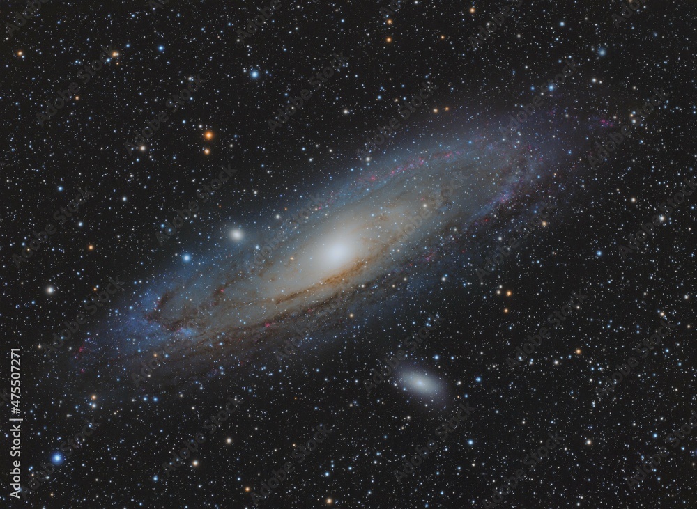 Messier31 asi1600 - obrazy, fototapety, plakaty 