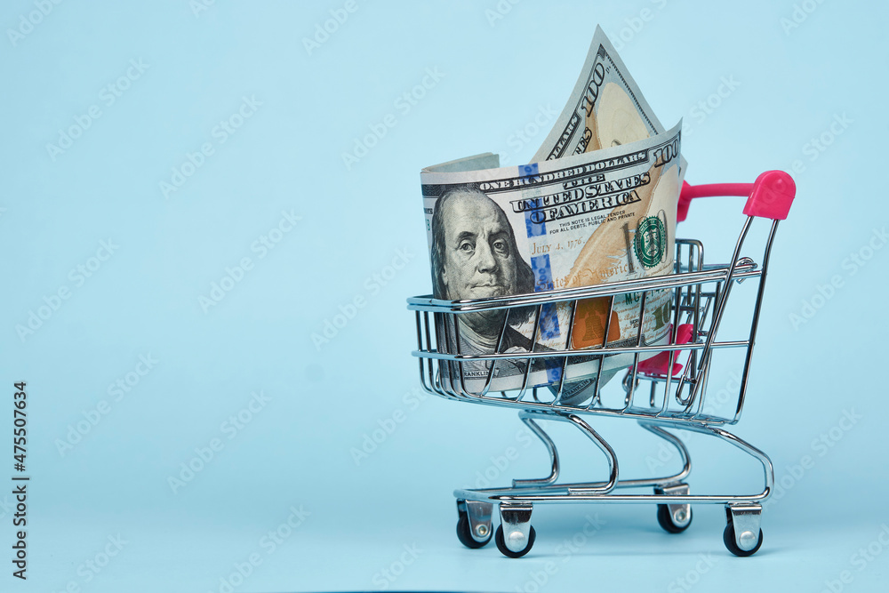 Shopping Cart with money on blue background