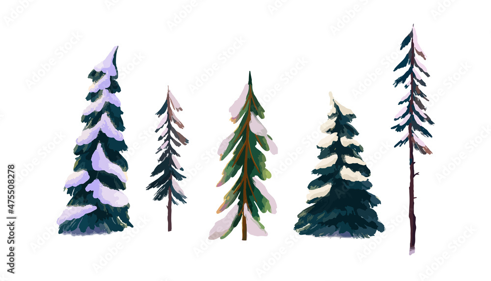 Obraz premium A set of snow-covered coniferous trees. Spruce and pine trees in the snow