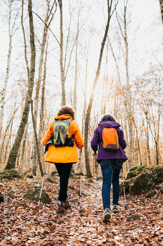 Two senior female friends hiking together through the forest in autumn photo