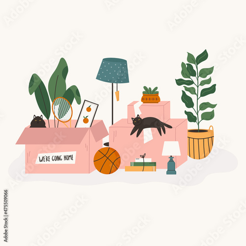 Vector illustration with packed cardboard boxes, homeplants, toys and other belongings.