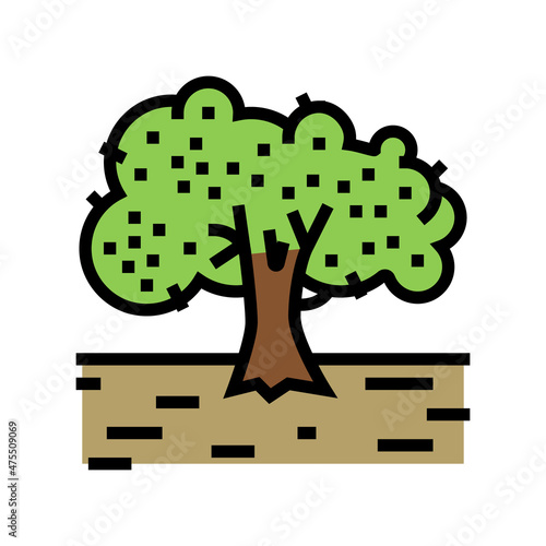 cultivation olive tree color icon vector. cultivation olive tree sign. isolated symbol illustration