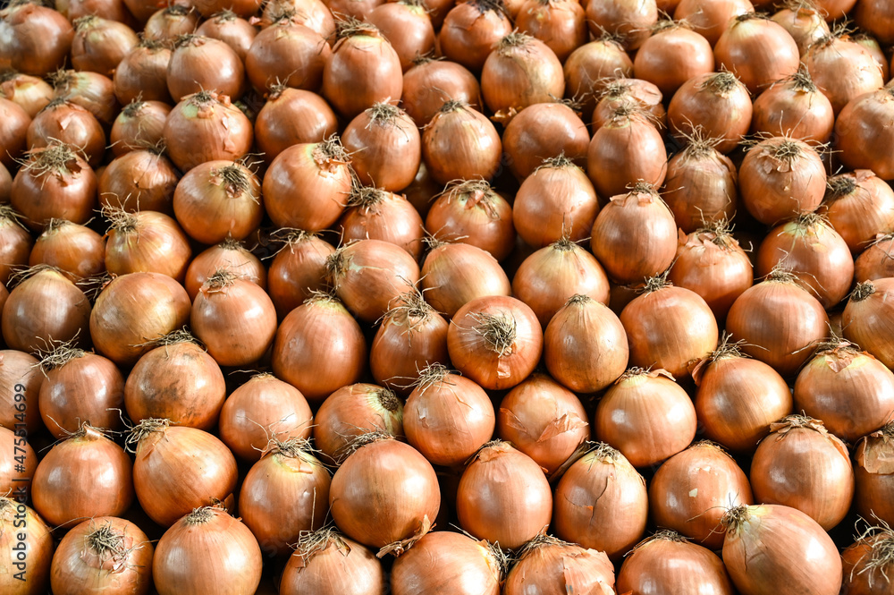 Onion for sale at vegetable market, close up. Boxes full of onions in shop. Onions at the greengrocer's stall. Vegetable. Onion for sale at vegetable market, close up. Boxes full of onions in shop. Onions at the greengrocer's stall. Vegetable.