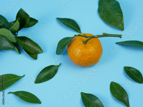 orange or Citrus sp with leaves isolated on blue background