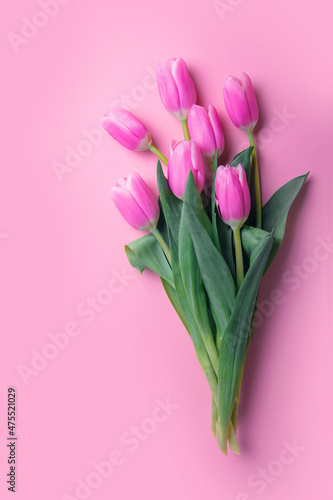 Pink and white tulips on pink background and copy space. © Nelly