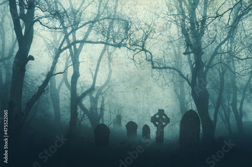 Fototapeta A horror concept of a spooky graveyard in a scary forest in winter, with the trees silhouetted by fog
