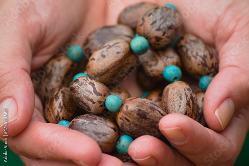 Natural seeds necklace