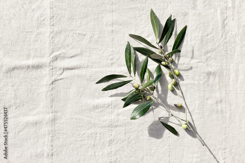 Olive branch with olive fruits on linen background. Mockup for concept of wellbeing  skincare  beauty or healthy lifestyle.