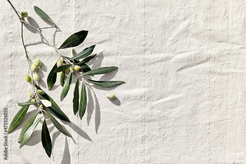 Olive branch with olive fruits on linen background. Mockup for concept of wellbeing, skincare, beauty or healthy lifestyle. photo