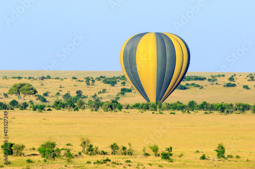 Air balloon that has landed on the African savannah