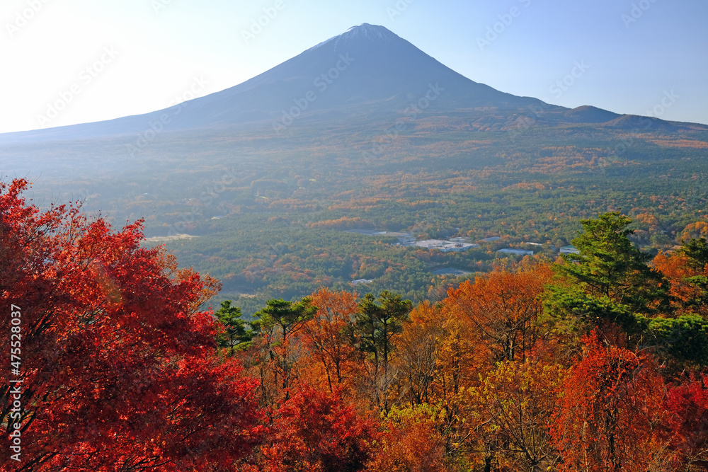 世界遺産　富士山を紅葉台から望む秋の風景