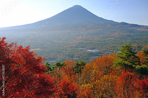 世界遺産 富士山を紅葉台から望む秋の風景