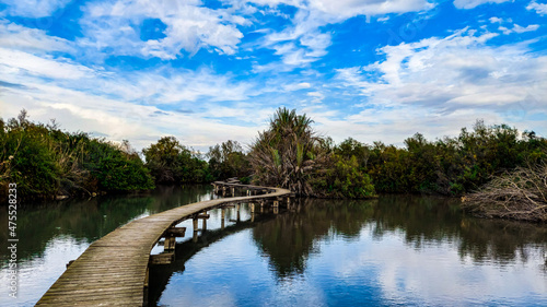 wooden bridge on the lake in the forest