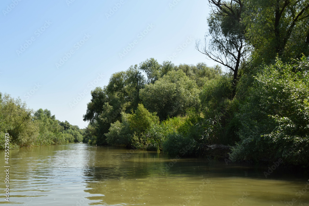 Landscape on a navigable canal surrounded by vegetation in the Danube Delta, Romania Landscape on a navigable canal surrounded by vegetation in the Danube Delta, Romania