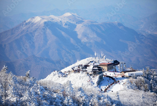 Snow Korea