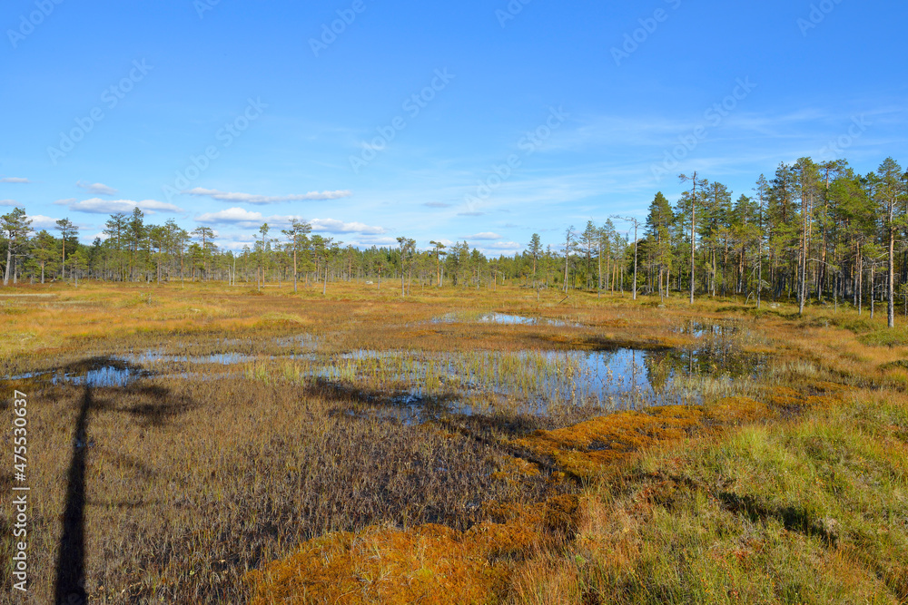 Nationalpark Hamra in Schweden im Herbst