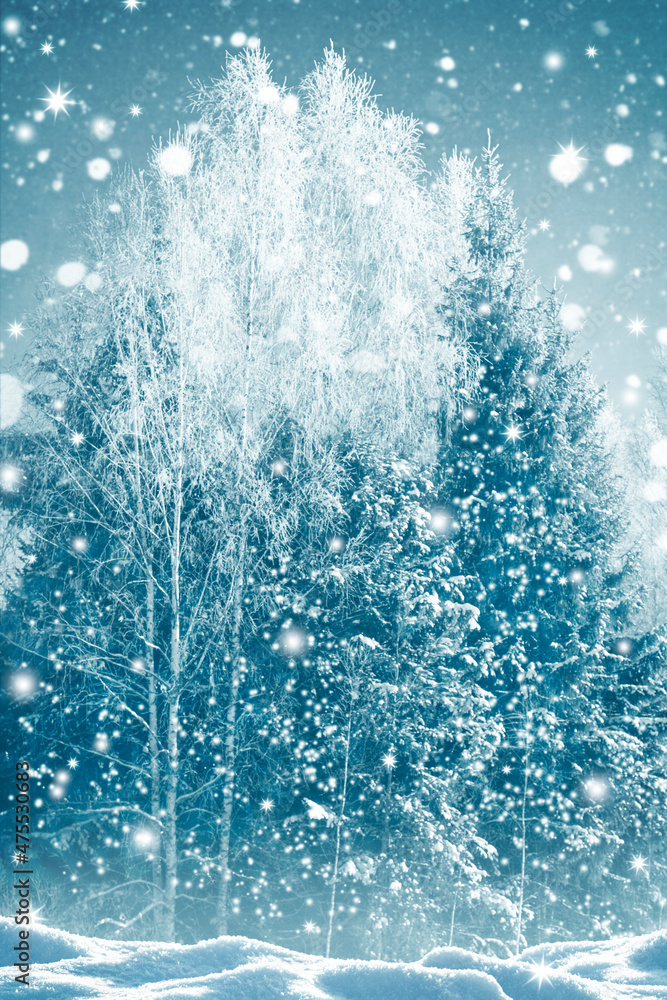 Frozen winter forest with snow covered trees. Frozen winter forest with snow covered trees.