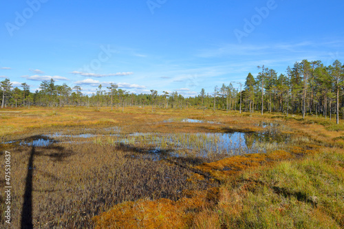 Nationalpark Hamra in Schweden im Herbst