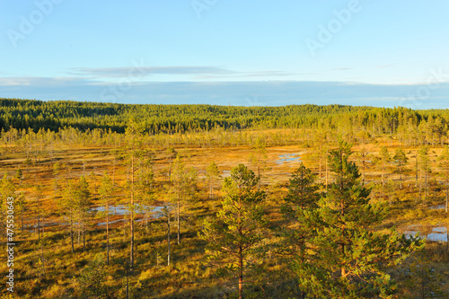 Nationalpark Hamra in Schweden im Herbst