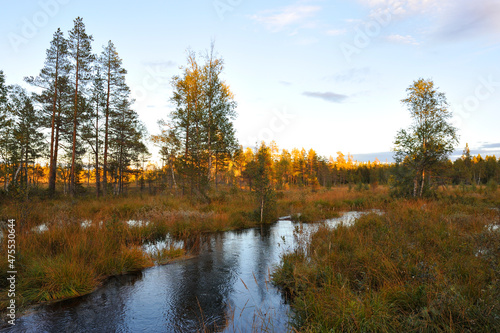 Nationalpark Hamra in Schweden im Herbst