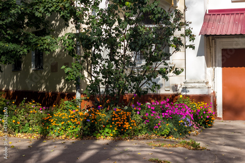Fototapeta Naklejka Na Ścianę i Meble -  A beautiful flower garden broken under the windows of a residential building, decoration of the local area in the city