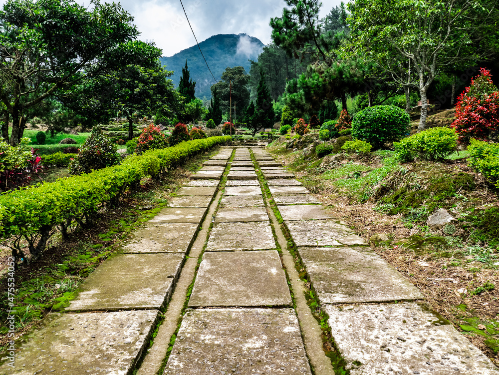 pathways with gardens beside and mountain peaks in the background
