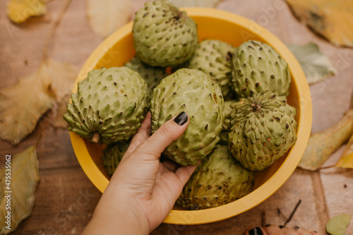 woman picking atemoya