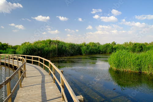 Scenery of the Azraq Wetlands Reserve in the town of Azraq in the eastern desert of Jordan photo