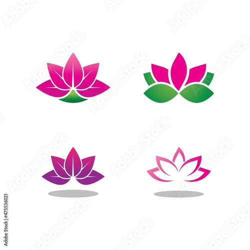 Beauty Vector lotus flowers