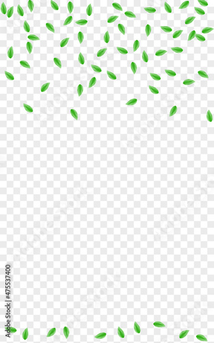 Green Foliage Background Transparent Vector. Leaf Healthy Card. Isolated Design. Greenish Process Frame. Plant Vibrant.