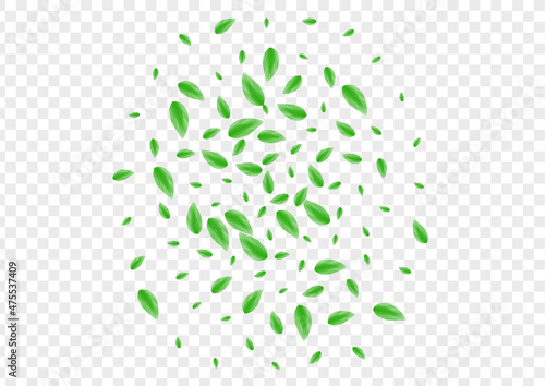 Green Plant Background Transparent Vector. Vegetation Modern Illustration. Copy Card. Greenish Spring Design. Sheet Pattern.