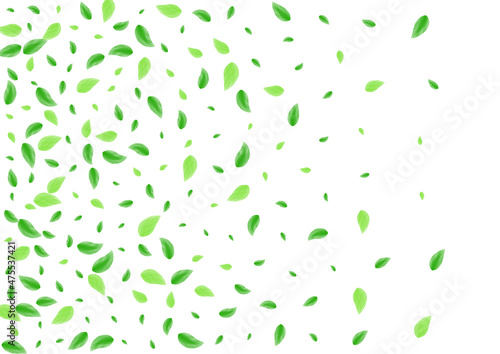 Green Foliage Background White Vector. Greenery Grow Design. Ecology Card. Light Green Organic Texture. Vegetation Bio.