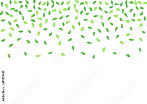 Greenish Sheet Background White Vector. Foliage Mint Texture. Environment Illustration. Green Template Design. Leaf Wild.