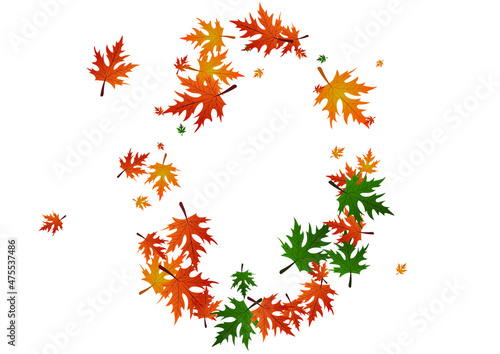Wallpaper Mural Ocher Leaves Background White Vector. Floral Single Template. Colorful Canada. Logo Frame. Green Foliage Autumn. Torontodigital.ca