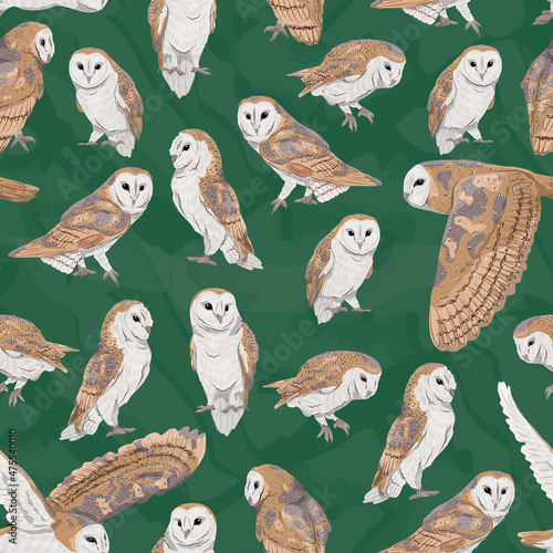 Seamless pattern with common barn owl Tyto alba in different poses. Wild birds of the forest. Realistic vector bird