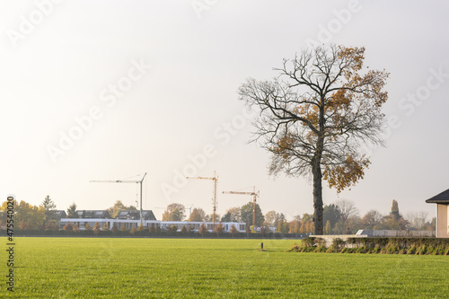 Landscape of a green area and a windmill in the field