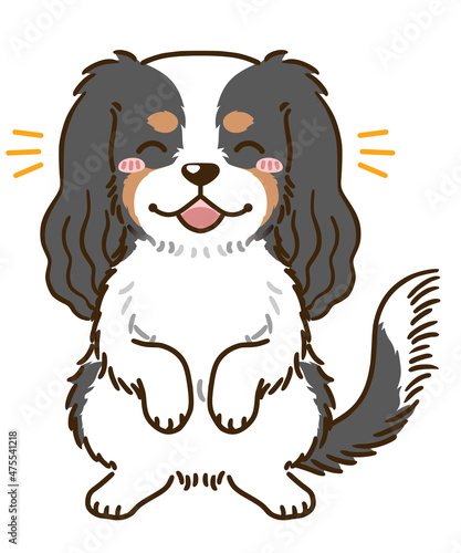 喜ぶキャバリア（トライカラー）