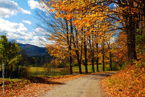 A windy, curving country lane winds through the autumn foliage and fall leaves in Vermont, New England photo