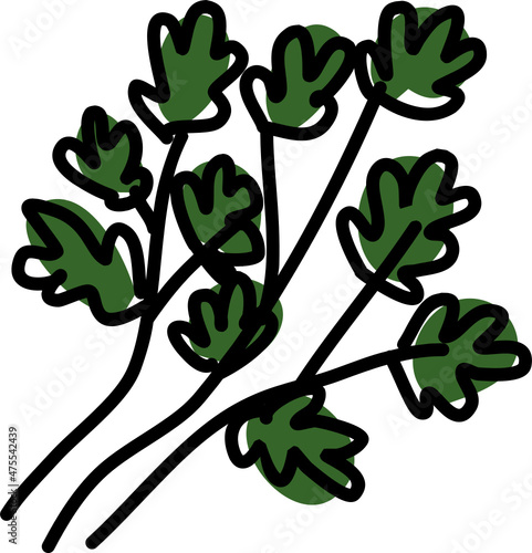 vegetable hand drawn doodle