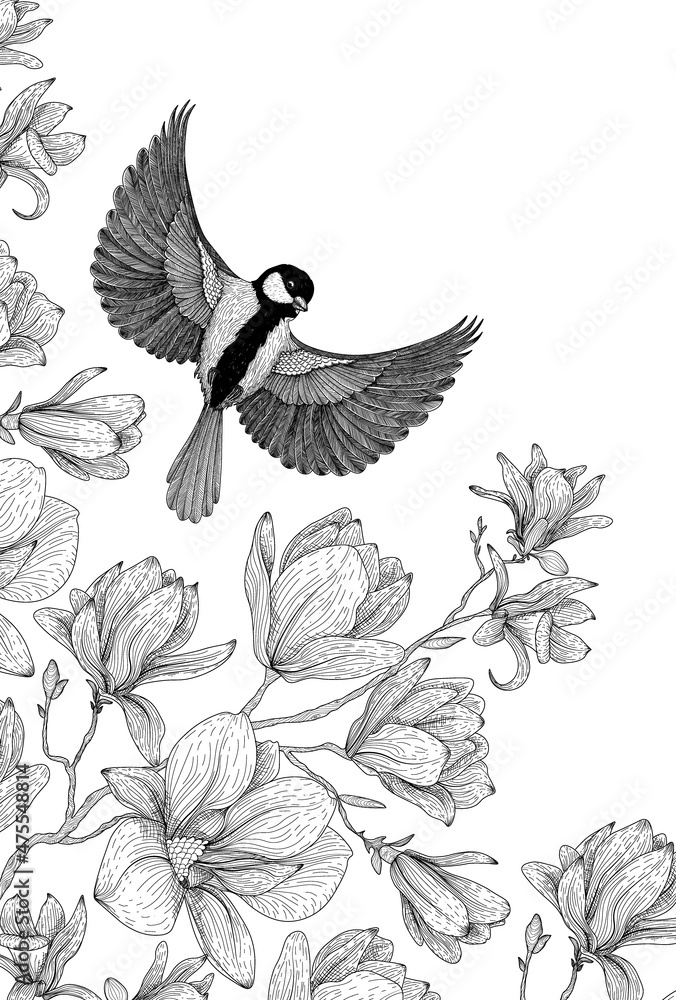 Vector illustration graphic linear magnolia flowers on a branch and a bird in flight Vector illustration graphic linear magnolia flowers on a branch and a bird in flight