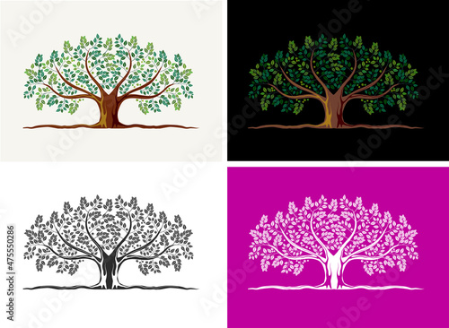 oak tree in four color variants, useful for logo or wall art illustration