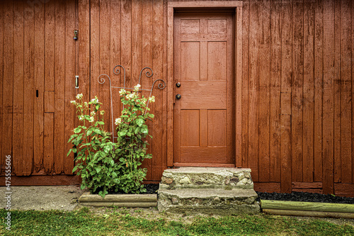 Wooden brown house facade with a brown door and a green plant photo