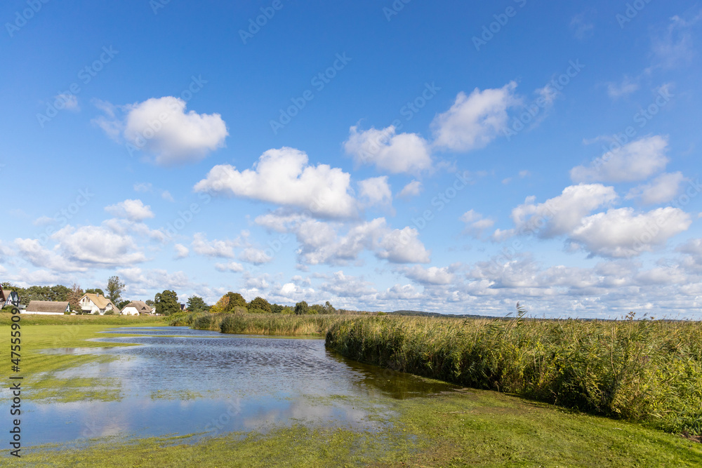 the flooded and green shore of the Achterwasser in Zempin on the island of Usedom in the Baltic Sea