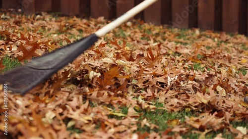Raking leaves in the yard on a cool, fall day at 120fps